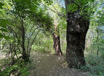 hungary/szekesfehervar/attraction/harom-nover