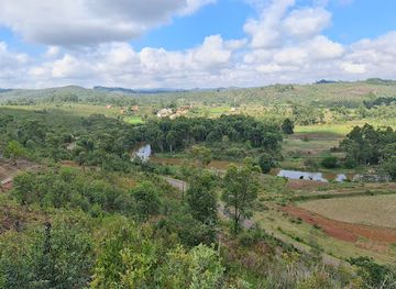 madagascar/ranomafana-national-park/attraction/emutail-pond