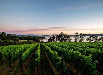 australia/hobart/attraction/mewstone-wines