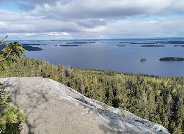 finland/koli-national-park/attraction/koli