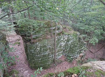 indiana/hoosier-national-forest/attraction/newton-stewart-state-recreation-area