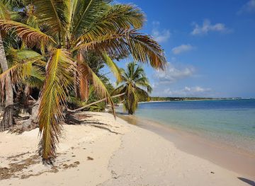 dominican-republic/punta-cana-bavaro/attraction/seaquarium-punta-cana