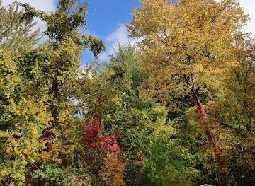 ohio/western-reserve/attraction/edison-woods-metropark