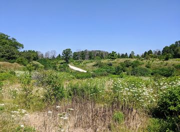 wisconsin/eastern-ridges-and-lowlands/attraction/forest-beach-migratory-preserve