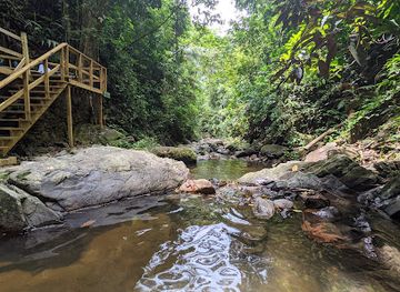 belize/mountain-pine-ridge-forest-reserve/attraction/billy-barquedier-national-park