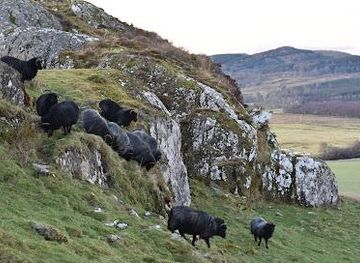 united-kingdom/bute/attraction/dunadd-fort