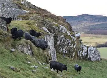 Dunadd Fort