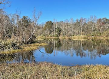 louisiana/sabine-national-wildlife-refuge/attraction/bayou-teche-national-wildlife-refuge-garden-city-unit