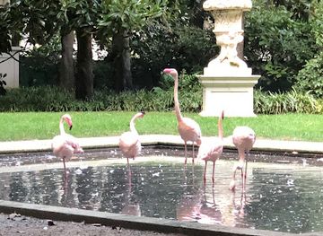 italy/milan/porta-venezia/attraction/fenicotteri-milanesi