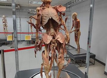 thailand/bangkok/attraction/museum-of-human-body