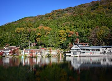 japan/yufuin/attraction/dakemoto-park