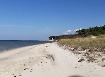 virginia/chesapeake-bay-region/attraction/savage-neck-dunes-natural-area-preserve