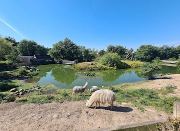 denmark/sonderjylland/attraction/glad-zoo