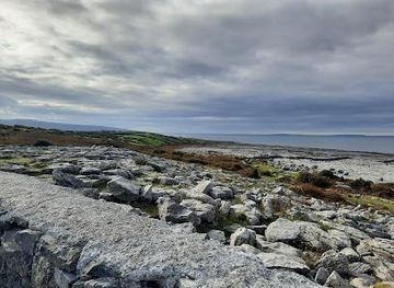 ireland/salthill/attraction/the-burren