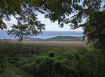 ohio/chillicothe/attraction/junction-earthworks