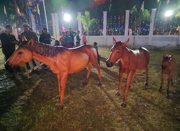 india/manipur/attraction/sangai-ethnic-park