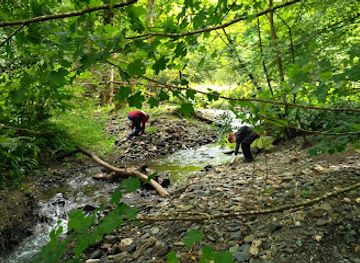 isle-of-man/glen-maye/attraction/mwt-cooildarry-nature-reserve