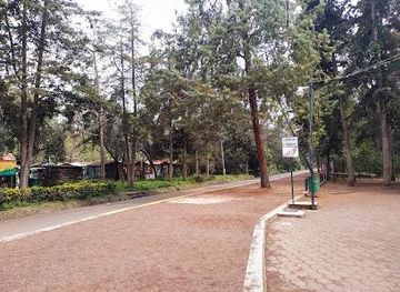 mexico/mexico-city/attraction/parque-nacional-bosque-de-tlalpan