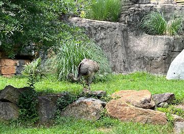 south-carolina/upstate/attraction/greenville-zoo