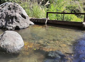 chile/curico/attraction/quebrada-las-trancas-park