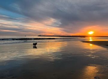 new-mexico/carlsbad/attraction/dog-beach