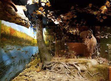 south-carolina/fort-mill/attraction/museum-of-york-county