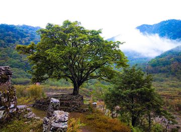 india/kohima/attraction/viewpoint-keyabamei