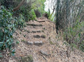 dominica/saint-david/attraction/jack-s-walk-trail