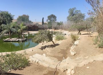 israel/beersheba/attraction/negev-zoo