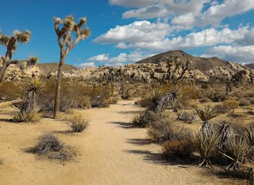 california/joshua-tree/attraction/joshua-tree-visitor-center