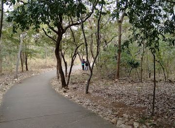 brazil/cerrado/attraction/massairo-okamura-park
