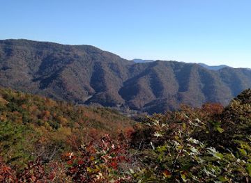 kentucky/eastern-mountain-coal-fields/attraction/kentenia-state-forest