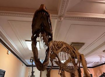 poland/warsaw/attraction/museum-of-evolution