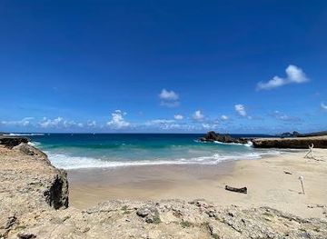 aruba/savaneta/attraction/andicuri-beach