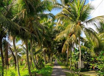 indonesia/bali/attraction/kajeng-rice-field