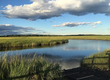 maine/biddeford/attraction/scarborough-marsh-audubon-center