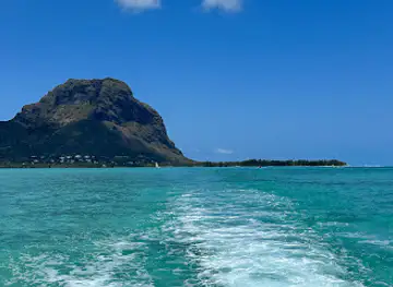 NICKOCOCOSUNSHINE Baleines & Cachalots Bateau Privatisé whales watching