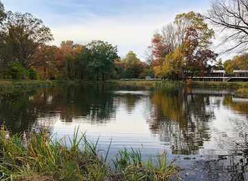 new-jersey/princeton/attraction/institute-woods