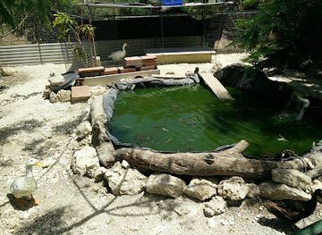 barbados/east-coast/attraction/marizayra-sanctuary-experience-barbados