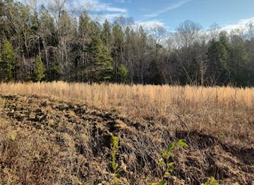 north-carolina/mountain-region/attraction/birkhead-mountains-wilderness