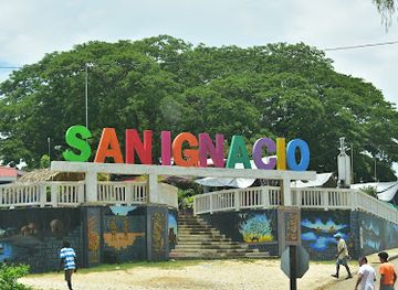 belize/vaca-plateau/attraction/green-iguana-conservation-project