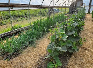 vermont/molly-falls-state-park/attraction/socks-family-farm