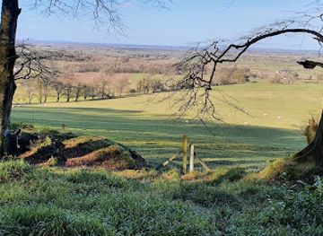ireland/county-galway/attraction/knockma-forest-trail