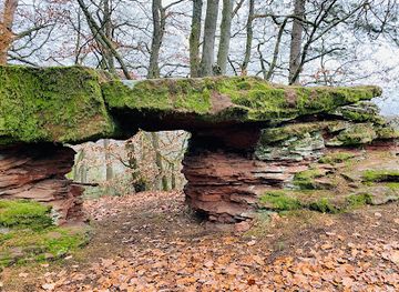 germany/palatinate/attraction/frankenburg
