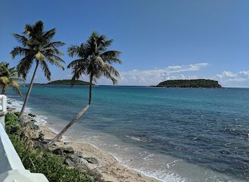 puerto-rico/vieques-island/attraction/abe-s-snorkeling-biobay-tours