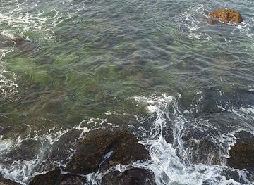 sri-lanka/galle-district/attraction/turtle-hotspot