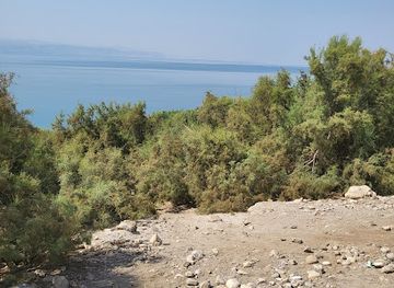 jordan/dead-sea/attraction/079