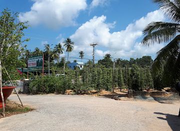 vietnam/phu-quoc-island/attraction/vuon-tieu-duc-thanh