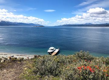 chile/tierra-del-fuego/attraction/isla-martillo