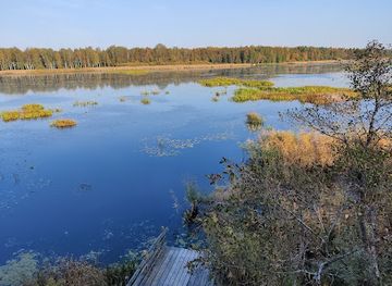 estonia/lahemaa/attraction/elistvere-animal-park